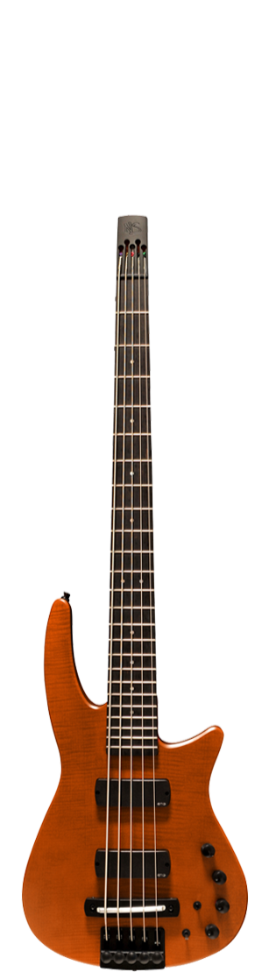 NS Design RADIUS Bass Guitar