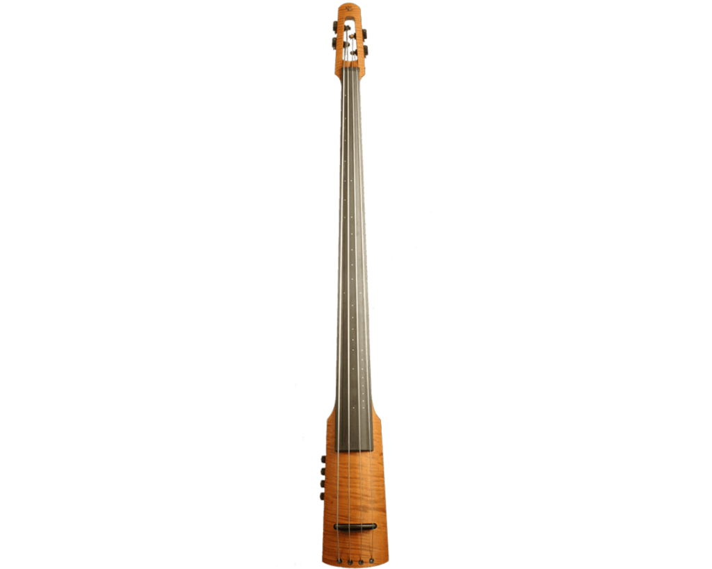NS Design CRT Series Electric Upright Bass