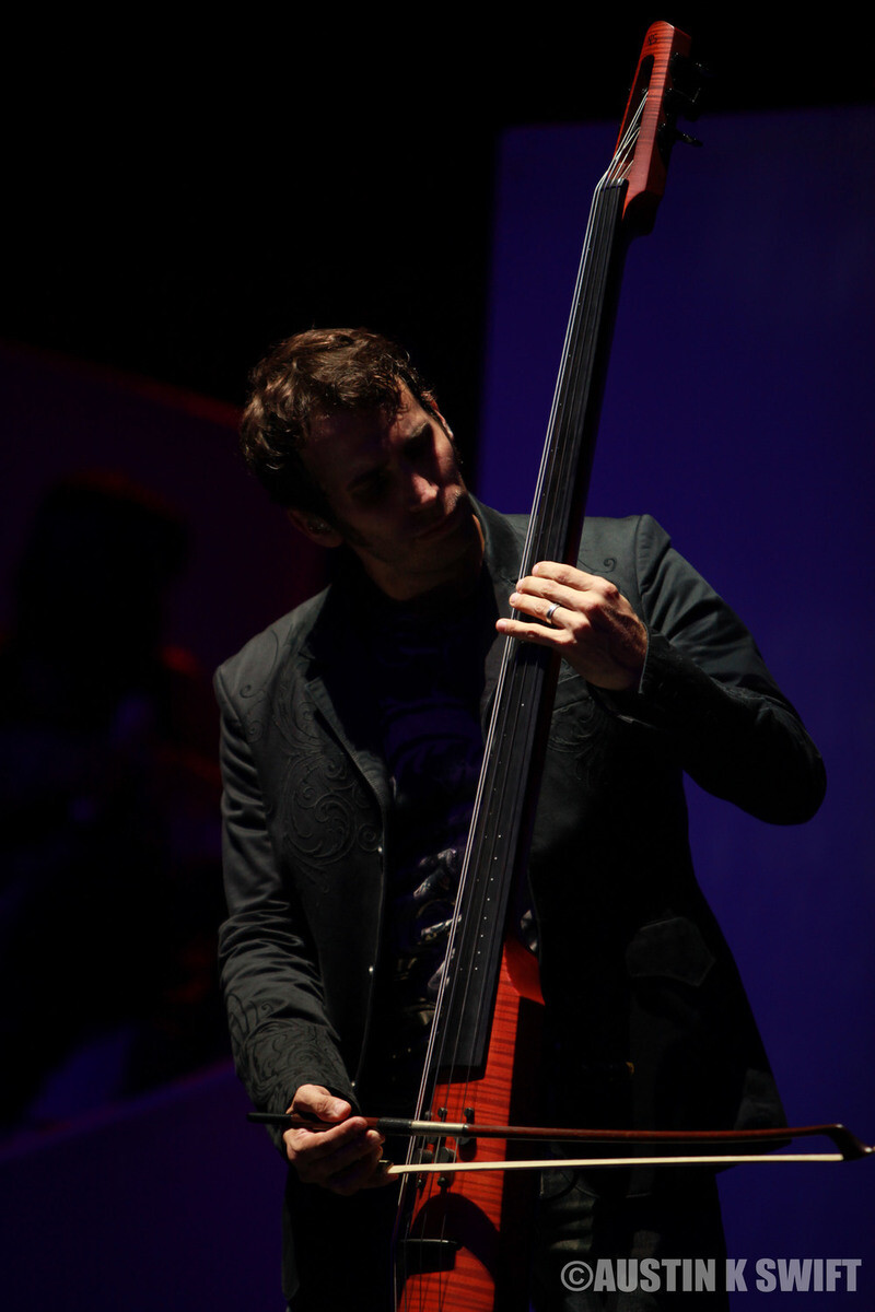 Amos Heller | NS Design Artist | Electric Upright Bass | CR