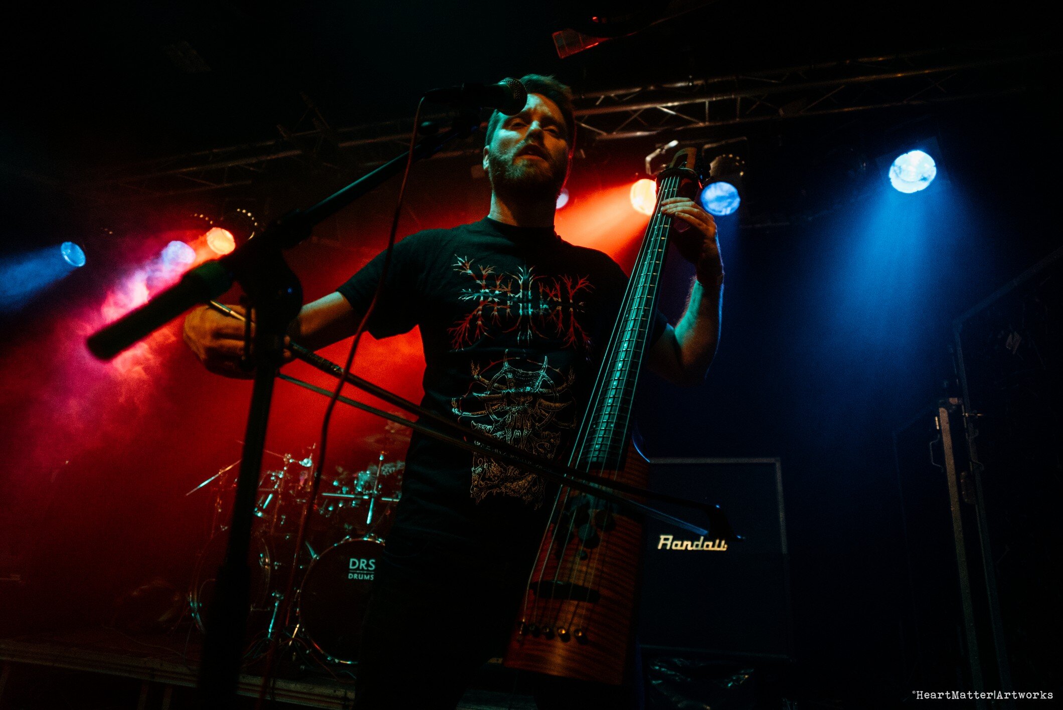 Eyvind W. Axelsen NS Design Artist Electric Upright Omni Bass CR