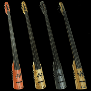 CRM Electric Upright Bass