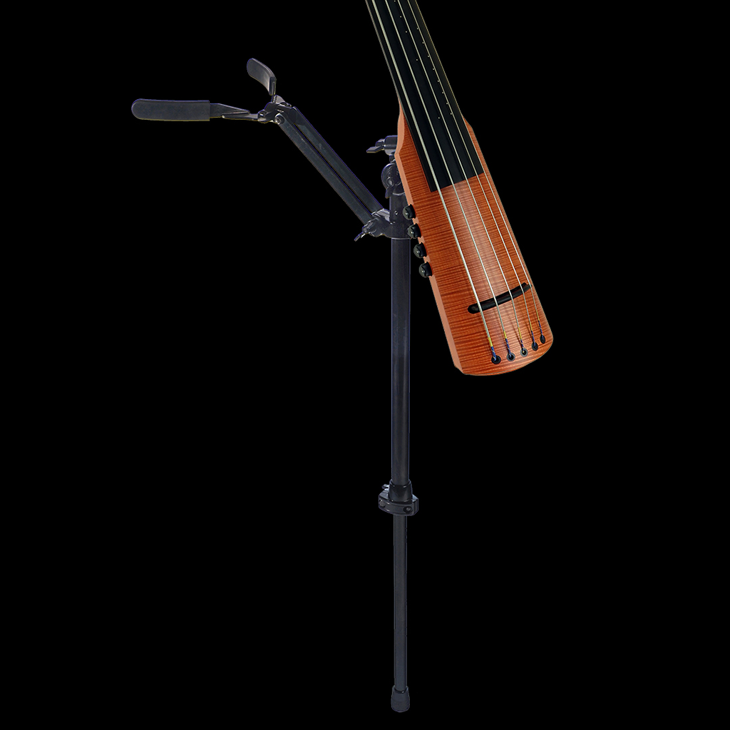 NXTa Omni Bass | Extraordinary Form and Function | NS Design