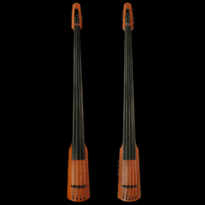 CRT Electric Upright Bass