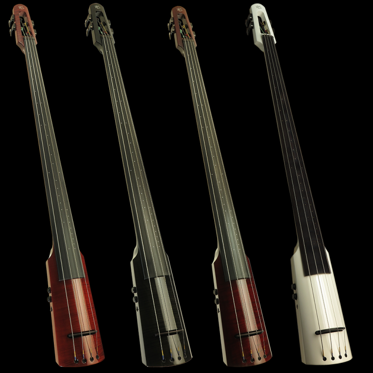 WAV Electric Upright Bass NS Design