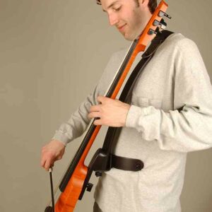 Frame Strap System