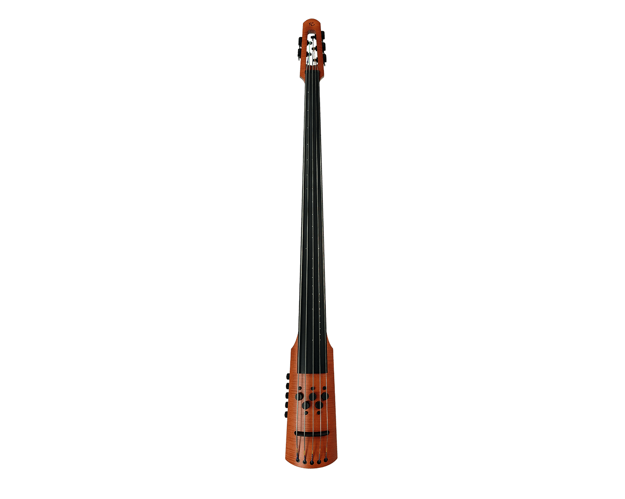 electric double bass