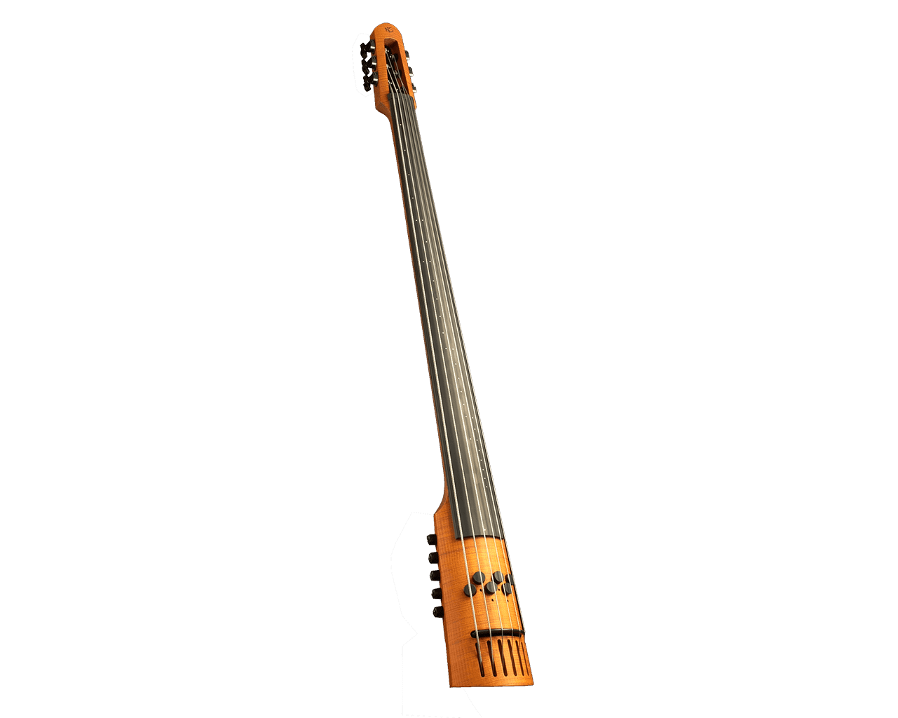 upright bass guitar