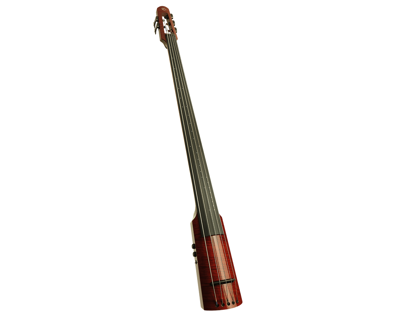 WAV Electric Upright Bass | Amazing Price and Performance | NS Design