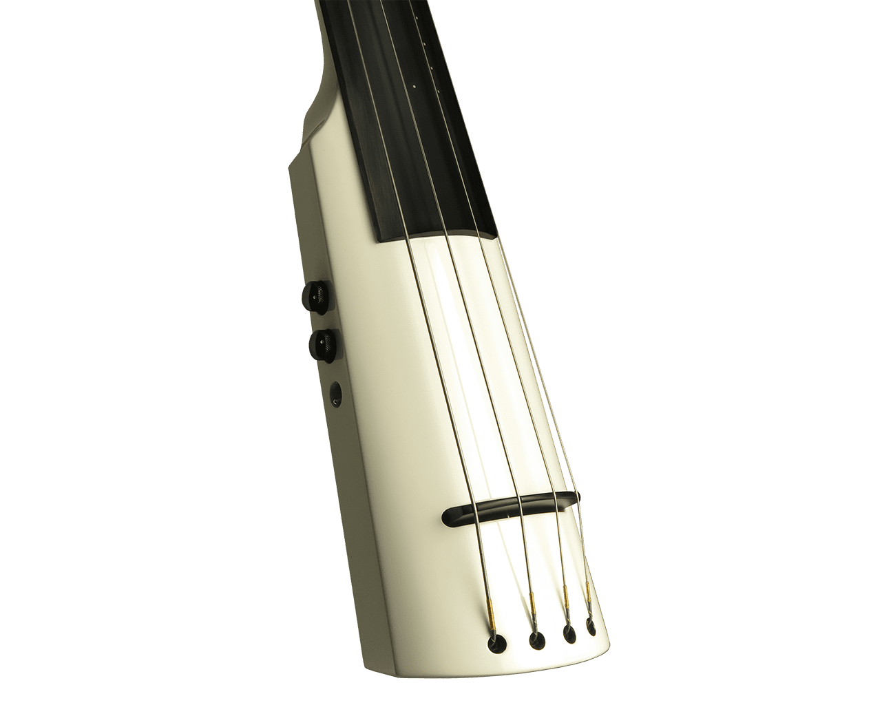 WAV Electric Upright Bass | Amazing Price and Performance | NS Design