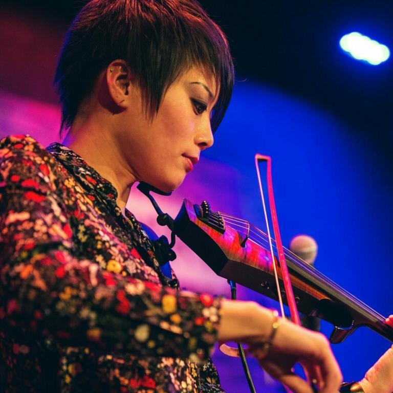 NS Electric Violins Outstanding Tone, Feel and Versatility NS Design