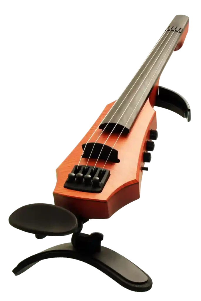 NS Electric Violins: Outstanding and Versatility NS Design