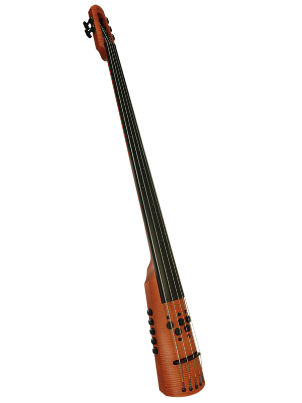 NS Electric Upright Bass EUB Brilliance by Ned Steinberger NS Design