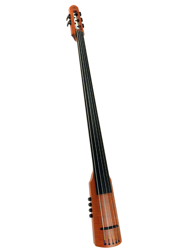 NS Electric Upright Bass EUB Brilliance by Ned Steinberger NS Design