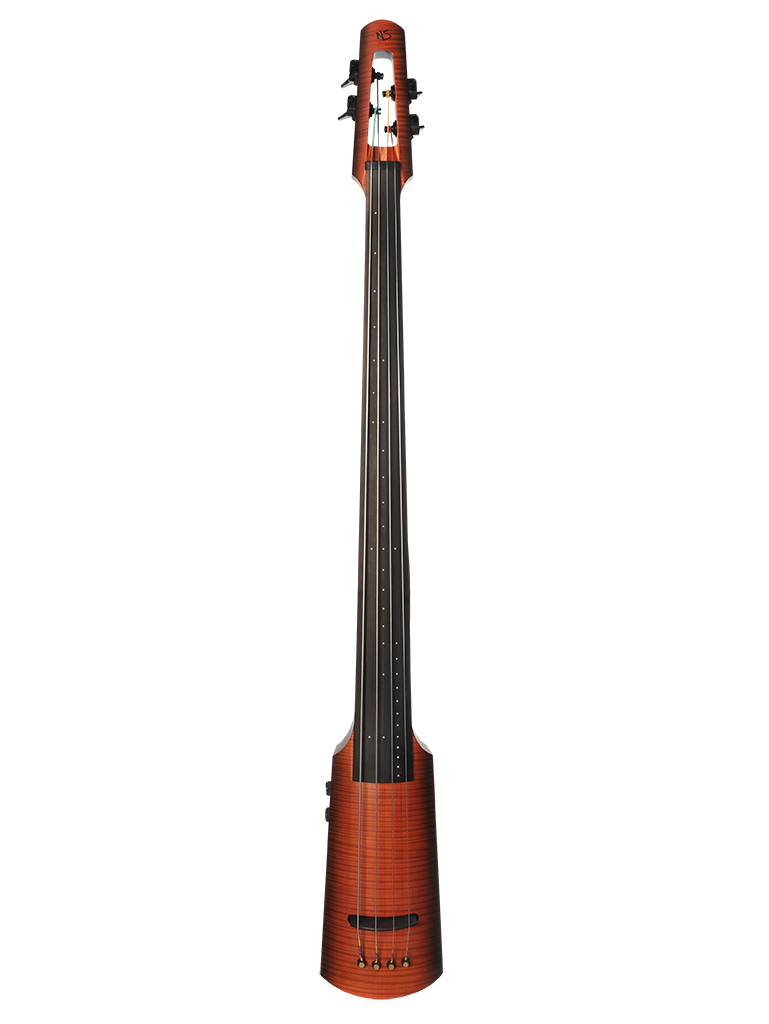 Omni Bass | Extraordinary 34