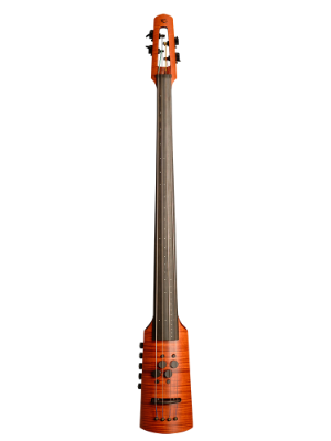 Omni Bass | Extraordinary 34