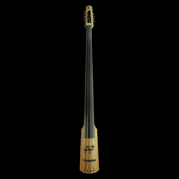 CRM Electric Upright Bass - Image 3