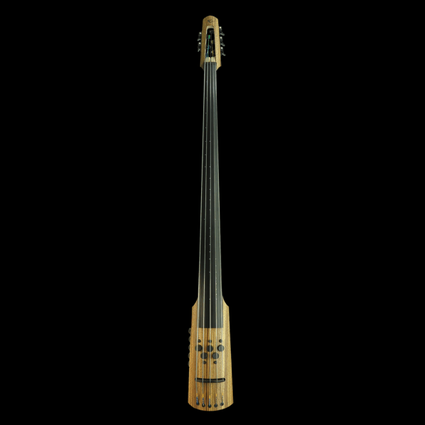 CRM Electric Upright Bass - Image 2