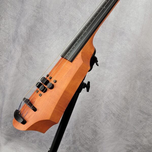 Prototype Original NS "Bass Cello" - Image 4