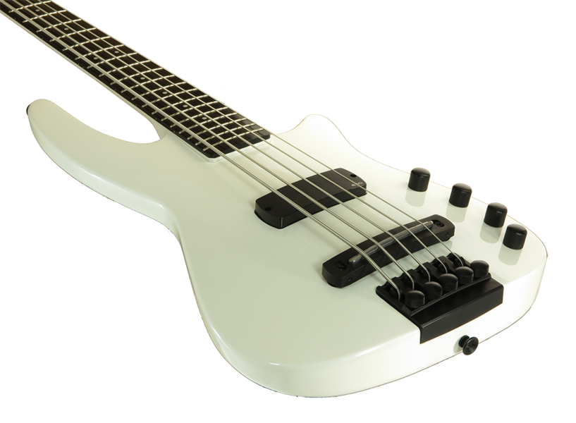 WAV Radius Bass Guitar Innovation by Ned Steinberger NS Design