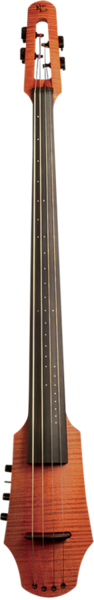 NS Electric Cellos: Extraordinary Tone, Versatility and Mobility | NS ...